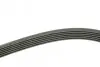 Ремень генератора VW LT 2.5TDI 96-01/Peugeot Expert 1.9D/2.0HDI 98- (6PK1755) BOSCH 1 987 946 030 (фото 3)