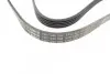 Ремень генератора Volvo S40/V40 98-04 (5PK1325) BOSCH 1 987 946 094 (фото 2)