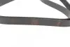 Ремінь генератора Opel Combo/Astra G 1.7DTi 01-/VW T4 2.0 90-03/Ford Mondeo 2.5 94-00 (6PK1590) BOSCH 1 987 946 096 (фото 2)