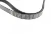 Ремінь генератора Opel Combo/Astra G 1.7DTi 01-/VW T4 2.0 90-03/Ford Mondeo 2.5 94-00 (6PK1590) BOSCH 1 987 946 096 (фото 3)