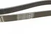 Ремінь генератора VW T5/Golf 2.3-3.2 V6 03-09/Audi A4/A6/Q5 2.0TDI 08-17 (6PK1264) BOSCH 1 987 946 102 (фото 2)