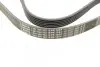 Ремінь генератора VW T5/Golf 2.3-3.2 V6 03-09/Audi A4/A6/Q5 2.0TDI 08-17 (6PK1264) BOSCH 1 987 946 102 (фото 3)