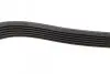 Ремінь генератора Ford Focus/Mondeo 2.0TDCi 14-/Fiat Bravo/Stilo 1.8/1.9D 07- (6PK1270) BOSCH 1 987 946 103 (фото 4)
