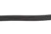 Ремінь генератора Ford Focus/Fiesta/Fusion/Mazda 2 1.25-1.6 98- (6PK1042) BOSCH 1987946125 (фото 3)