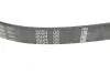 Ремінь генератора Ford Focus/Fiesta/Fusion/Mazda 2 1.25-1.6 98- (6PK1042) BOSCH 1987946125 (фото 4)
