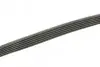 Ремень генератора Ford Transit 2.0Di/TDCi 00-(-AC) (6PK831) BOSCH 1 987 946 126 (фото 3)