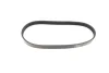 Ремень генератора Ford C-Max/ Focus/ Volvo S40 1.8-2.0 06-12 (5PK705) BOSCH 1 987 946 134 (фото 5)