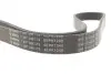 Ремінь генератора Ford Focus II/C-Max/Volvo C30/S40 II/V50 1.8/2.0 04-12 (6PK1249) 1 987 946 173 BOSCH 1987946173 (фото 1)