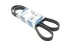 Ремінь генератора VW T5 3.2 V6 03-09/Sharan/Ford Galaxy 2.8 V6 00-10 (6PK1325) 1 987 946 206 BOSCH 1987946206 (фото 2)