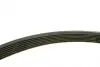 Ремень генератора Renault Clio III/Modus/Twingo 1.2 05-/BMW 7 (E38) 5.4 94-01 (7PK1035) BOSCH 1 987 946 248 (фото 4)