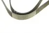 Ремень генератора Renault Clio III/Modus/Twingo 1.2 05-/BMW 7 (E38) 5.4 94-01 (7PK1035) BOSCH 1 987 946 248 (фото 5)