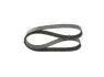 Ремінь генератора Mazda 3/5/6 2.0 DI/CD 02-10 (8PK1225) BOSCH 1 987 946 266 (фото 1)