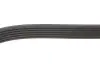 Ремінь генератора VW T4 2.5TDI 90-03 (6PK2213) BOSCH 1 987 946 275 (фото 2)