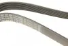 Ремінь генератора Audi A8 3.7/4.2 quattro 02-10/VW Phaeton 4.2 V8 4motion 03-16 (7PK2535) BOSCH 1 987 946 284 (фото 4)