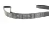 Ремінь генератора Hyundai Terracan 2.9 CRDi 01-06 (5PK1697) BOSCH 1987946292 (фото 4)