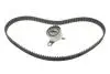 Комплект ГРМ Toyota Corolla 1.6 92-00/Avensis 1.6 97-00 (21x117z) BOSCH 1987946323 (фото 1)