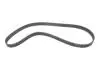 Комплект ГРМ + насос Nissan Primera 1.9dCi 02-/Renault Scenic/Megane 1.9dCi 03-(26x133z) BOSCH 1987946397 (фото 11)