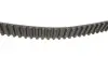 Комплект ГРМ + помпа Audi A3/TT/Skoda Octavia/VW Golf/Sharan 1.8 95-10 (23x150z) BOSCH 1987946499 (фото 3)