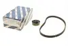 Комплект ГРМ Renault Kangoo/Dacia Dokker/Lodgy/Logan/Sandero 1.4/1.6i 04- (17.3x96z) 1 987 946 524