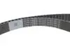 Комплект ГРМ VW Crafter/Passat B8/T6/Skoda Octavia III-IV/Audi A3 2.0D 12- (25x145z) BOSCH 1987946677 (фото 4)
