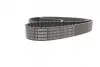Ремінь ГРМ Audi A3/A4/A6/A7/Q2/Q3/Q5/Skoda Octavia/VW Golf VIII 2.0D/2.0DH 15- (25x149z) BOSCH 1987946822 (фото 1)