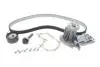Комплект ГРМ + помпа Ford Mondeo/C-Max/Focus/Kuga/Transit Connect 1.5/1.6 EcoBoost 10- (22x117z) 1987946905