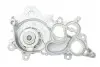 Комплект ГРМ + помпа VW Polo/Skoda Fabia 1.0 TSI 14- (10x81z) BOSCH 1987946959 (фото 2)
