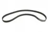 Комплект ГРМ + помпа Citroen Berlingo/Jumper/Peugeot Boxer/Expert/Partner 2.0HDi 98-09 (25.4x141z) BOSCH 1987946965 (фото 9)