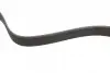 Ремінь генератора MB Axor 02- (OM457) (8PK1612) BOSCH 1987947054 (фото 2)