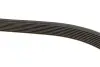 Ремень генератора Man TGA/TGS/TGX/MB LK/LN2 OM366 84- (8PK1655) BOSCH 1 987 947 057 (фото 4)