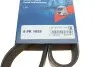 Ремень генератора Man TGA/TGS/TGX/MB LK/LN2 OM366 84- (8PK1655) BOSCH 1 987 947 057 (фото 6)