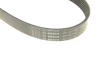 Фото 5 - ремінь генератора Jeep Cherokee/Liberty 2.5/2.8 CRD 01- (6PK2870) BOSCH 1 987 947 567 Ремінь генератора Jeep Cherokee/Liberty 2.5/2.8 CRD 01- (6PK2870) BOSCH 1 987 947 567 (фото 5)