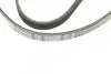 Ремень генератора Citroen Jumper 1.9TD 94-02 (4PK698) BOSCH 1 987 947 803 (фото 5)