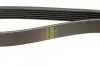Ремінь генератора Lada Kalina 1.4 08-13/ MB 190 (W201) 2.0-82-93/ 210-410 2.9 -96 BOSCH 1 987 947 817 (фото 4)