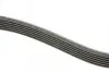 Ремень генератора Renault Kangoo 1.9D 97-/Mazda 3/6/CX-5 2.2D 12-/Fiat Scudo 2.0 00-06 (6PK1190) BOSCH 1 987 947 818 (фото 3)