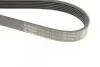 Ремень генератора Renault Kangoo 1.9D 97-/Mazda 3/6/CX-5 2.2D 12-/Fiat Scudo 2.0 00-06 (6PK1190) BOSCH 1 987 947 818 (фото 5)