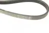 Ремінь генератора Mitsubishi Galant 1.8/2.0 87-03/Toyota Hilux 2.4 97-05 (4PK935) BOSCH 1 987 947 826 (фото 4)