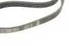 Ремень генератора Renault 11/9/BMW 7 (E32)/8 (E31)/Mazda 323/626/Citroen XM 83-04 (5PK1165) BOSCH 1 987 947 841 (фото 4)
