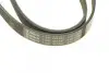 Ремінь генератора поліклиновий Hyundai i30/ Tucson/ ix20 1.4i-1.6 07-/ Kia Cee\'d/Picanto/ Soul 1.0-1.6 06- BOSCH 1 987 947 887 (фото 3)