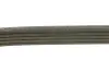 Ремінь генератора Fiat Ducato 1.9D/TD/Peugeot 106 1.5D 94-04/Mitsubishi Lancer 1.3 98-04 (5PK962) BOSCH 1 987 947 918 (фото 2)
