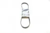 Ремінь генератора Mazda 323/626/ Opel Astra G/Vectra B/C 2.0/2.2 00-08 (5PK1030) BOSCH 1 987 947 923 (фото 1)