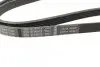 Ремінь генератора Renault Trafic/Master/Laguna/Opel Movano/Vivaro 1.9dCi 01- (5PK1125) BOSCH 1 987 947 927 (фото 2)