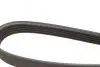 Ремінь генератора Renault Trafic/Master/Laguna/Opel Movano/Vivaro 1.9dCi 01- (5PK1125) BOSCH 1 987 947 927 (фото 4)