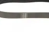 Ремінь генератора VW Caddy/Golf/Skoda Octavia 1.6/2.0 04-15/Fiat Ducato 2.5TDI 94-02/Scudo 1.6 96-06 BOSCH 1 987 947 936 (фото 3)