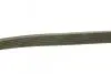 Ремінь генератора VW T4/Caddy 1.9D/TD 90-03/Toyota Corolla/Auris 1.4D 06-14/Kia Rio 1.25 17- (6PK923) BOSCH 1 987 947 938 (фото 3)