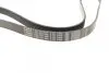 Ремінь генератора Ford Connect (-AC)/Opel Combo 1.2/1.4i -01 (6PK1460) BOSCH 1 987 947 948 (фото 2)