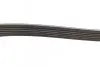 Ремінь генератора Ford Connect (-AC)/Opel Combo 1.2/1.4i -01 (6PK1460) BOSCH 1 987 947 948 (фото 4)