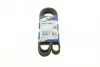 Ремінь генератора поліклиновий VW T5/Amarok 2.0TDI 09-/Ford Focus/Kuga/Galaxy 98-/Opel Astra J/Insignia A 1.6 08- (6PK1555) BOSCH 1 987 947 949 (фото 1)