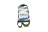 Ремінь генератора VW Crafter 2.0TDI 11-16/Opel Corsa D 1.7CDTI 06-11/Ford Fiesta 00-03 (6PK1610) BOSCH 1 987 947 983 (фото 1)