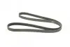 Ремінь генератора VW LT 2.8TDI 01-06/Volvo 850/S70/S80/V70 2.5TDI 95-06/Opel Astra 1.6 12- (6PK1685) BOSCH 1 987 947 986 (фото 2)